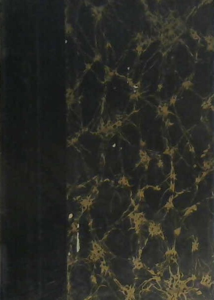 l'Apôtre des Lépreux